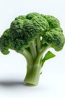 Fresh green broccoli floret with stem and leaf isolated on white background, macro shot showing detailed texture and natural vegetable structure.