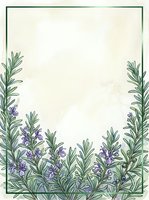 Lavender flowers and green foliage frame the bottom and sides of this isolated botanical border design on cream background, ready for stationery, invitations, and creative projects.