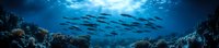 Underwater panoramic seascape with school of fish silhouettes swimming above vibrant coral reef in deep blue ocean waters illuminated by sunlight rays.