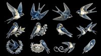 Vintage blue swallow bird clipart set, isolated on transparent background. Includes flying swallows, nest, feather and branch poses. Great for stickers, t-shirt design, print on demand.