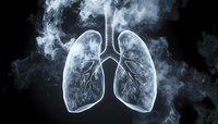 Glowing translucent human lungs with bronchial tree structure surrounded by swirling smoke on black background, medical science visualization concept.
