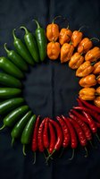 Colorful chili pepper circle arrangement with green jalapenos, orange habaneros, and red chilies on dark fabric background.