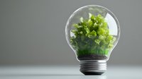 Green lettuce growing inside light bulb on gray background, creative sustainable energy and eco-friendly agriculture concept for environmental solutions.