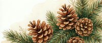 Pine cones and evergreen branches arranged on cream background for holiday decorating and seasonal crafts.