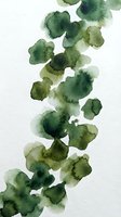 Abstract watercolor green leaves pattern on white background for botanical design projects and natural decoration elements.