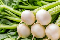 Fresh white turnips with bright green stems and leaves in macro view, showcasing natural organic produce for healthy eating and farm-to-table cooking concepts.