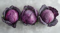 Fresh purple cabbage heads arranged in row on gray background, showing detailed leaf texture and natural veining pattern. Organic produce photography.