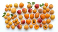 Assorted fresh apricots and stone fruits arranged on white background, whole and halved showing pit, ready for culinary, nutritional, or agricultural design projects.
