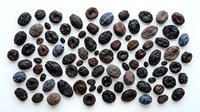 Assorted dried fruits and nuts collection featuring raisins, dates, prunes and various dehydrated berries arranged on white background for healthy snacking.