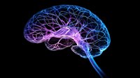 Glowing human brain visualization with blue and purple neon effect on black background shows neural networks and brain activity patterns for medical or science design.