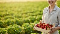 Smiling female farmer holding wooden crate of fresh red tomatoes in vegetable field during harvest season for agriculture and farming concepts.