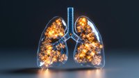 Glowing human lungs with fiery orange light effect against dark background, medical concept visualization showing respiratory system anatomy and inflammation process.