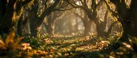 Enchanted forest pathway with golden sunlight filtering through twisted tree branches creating magical tunnel effect for fantasy storytelling projects.