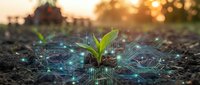 Young green plant seedling emerging from rich soil with glowing digital circuit patterns representing smart agriculture technology and sustainable farming innovation.