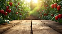 Rustic wooden table in strawberry field with ripe red berries on plants at sunset, creating warm atmosphere for food photography.