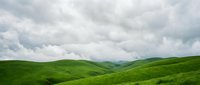 Rolling green hills with lush grass and dramatic cloudy sky, suitable for landscape, nature, and environmental design projects.
