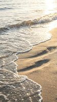 Gentle ocean waves washing onto golden sandy beach shore during warm sunset light creating peaceful coastal scenery for relaxation and vacation concepts.