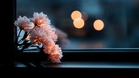 Pink carnation flowers with frost crystals on petals, arranged on dark surface with warm bokeh lights in background, suitable for greeting cards and seasonal designs.