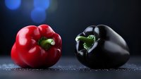 Fresh red and black bell peppers on dark background with water drops and blue bokeh lights, dramatic food photography for restaurant menu and cooking blogs.