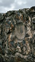 Ancient weathered rock formation with natural erosion patterns and lichen growth under cloudy sky for geology and nature backgrounds.