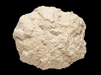 Raw bread dough ball isolated on transparent background, ready for bakery clipart, food design, print on demand, stickers, T-shirts, and culinary projects.