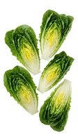 Fresh romaine lettuce hearts cut in half showing crisp green leaves and white stems isolated on white background for healthy cooking and salad preparation.