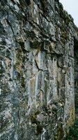 Weathered stone wall with moss and lichen growth showing natural texture and erosion patterns for architectural and nature backgrounds.