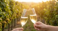 Two hands toasting with champagne flutes in vineyard at golden hour sunset creating romantic celebration atmosphere for wine tasting and special occasions.