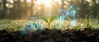 Young green plant seedling growing from soil with digital financial growth charts and dollar symbols overlay representing sustainable investment and eco-friendly business development.