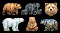 Bear species collection featuring brown, black, polar, and forest bears isolated on transparent background. Ready for t-shirt design, clipart, stickers, sublimation, print-on-demand products, and digital crafts.