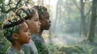 Three diverse children in profile gazing thoughtfully into sunlit forest, representing hope, dreams and future generations in natural outdoor setting.
