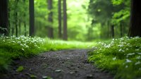 Tranquil forest path lined with delicate white wildflowers and lush green vegetation creates serene natural atmosphere for outdoor and environmental designs.