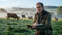 Senior Caucasian farmer in green jacket standing in misty pasture with grazing cattle at sunrise, rural agriculture and livestock farming concept.