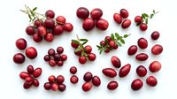 Red currants and berries arranged on white background, isolated for culinary, food styling, recipe design, and packaging projects.
