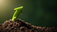 Green seedling sprouting from rich dark soil with upward growth arrow symbolizing business success, development and environmental sustainability.