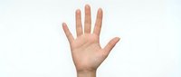 Open palm hand gesture showing five fingers against white background isolated for design and communication concepts.