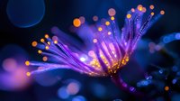 Glowing purple and orange bioluminescent tentacles with bokeh light effects against dark background create magical underwater atmosphere.