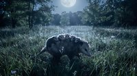 Wild boar foraging in moonlit meadow surrounded by forest trees. Nocturnal wildlife scene with full moon creating atmospheric lighting for nature photography.