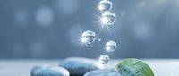 Young green plant sprouting from smooth stones with floating water droplets and sunlight rays creating magical growth and renewal concept for environmental themes.