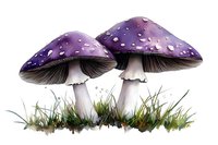 Purple spotted mushrooms with delicate gills growing in green grass, watercolor style botanical illustration on white background, isolated nature artwork.