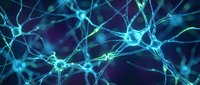 Glowing blue neurons forming an intricate network against a dark background, depicting brain activity and neural connections in neuroscience.