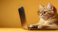 Orange tabby cat wearing glasses working on laptop computer against warm yellow background for business and technology concepts.