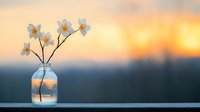 White flowers in glass jar against warm sunset sky creating peaceful minimalist composition for home decor and wellness concepts.