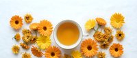 Chamomile and calendula tea surrounded by fresh dried flowers arranged on white background, suitable for wellness, herbal medicine, and natural health product marketing.