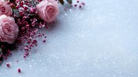 Delicate pink roses with scattered red berries and glitter on frosty white background create romantic holiday mood for greeting cards and festive designs.