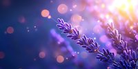 Glowing lavender flowers against blurred purple and gold bokeh background create dreamy atmospheric nature scene with soft focus and magical lighting effects.