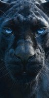 Majestic black panther with piercing blue eyes close-up portrait showing detailed fur texture and intense gaze for wildlife and nature photography projects.