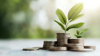 Growing plant on stacked coins against blurred green background symbolizing financial growth, investment success, and sustainable business development.