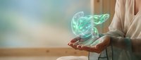 Holographic liver projection floating above open hands of medical professional in white coat for healthcare technology and organ visualization concepts.