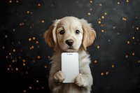 Golden retriever puppy holding smartphone with paws against dark background with golden bokeh lights, perfect for tech or pet marketing.